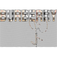 Brand Catalog-ZX 312